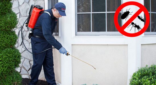 Borçka Karınca İlaçlama böcek ilaçlama ve haşere kontrolü — ilaclama-tr.com